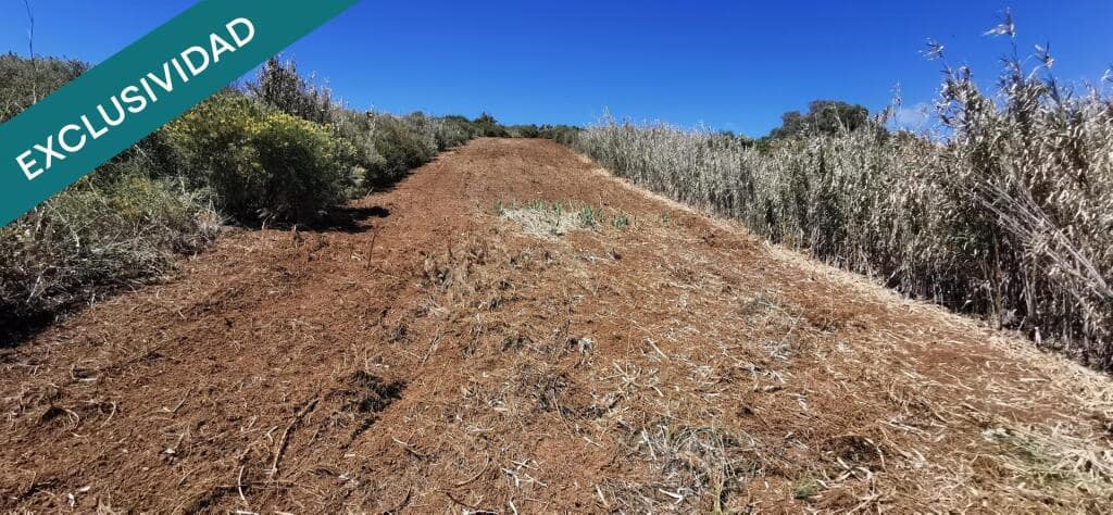 Grunde uden byggetilladelser til salg i Las Palmas de Gran Canaria - € 69.000 (Ref: 9174296)