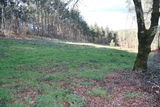 Grunde uden byggetilladelser til salg i A Estrada - € 5.000 (Ref: 9174302)