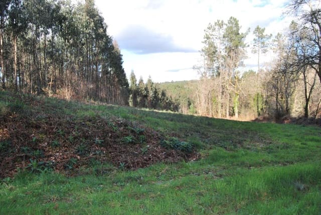 Grunde uden byggetilladelser til salg i A Estrada - € 5.000 (Ref: 9174302)