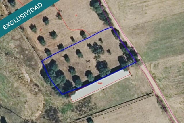 Grond te koop in Torrico - € 10.000 (Ref: 9174349)