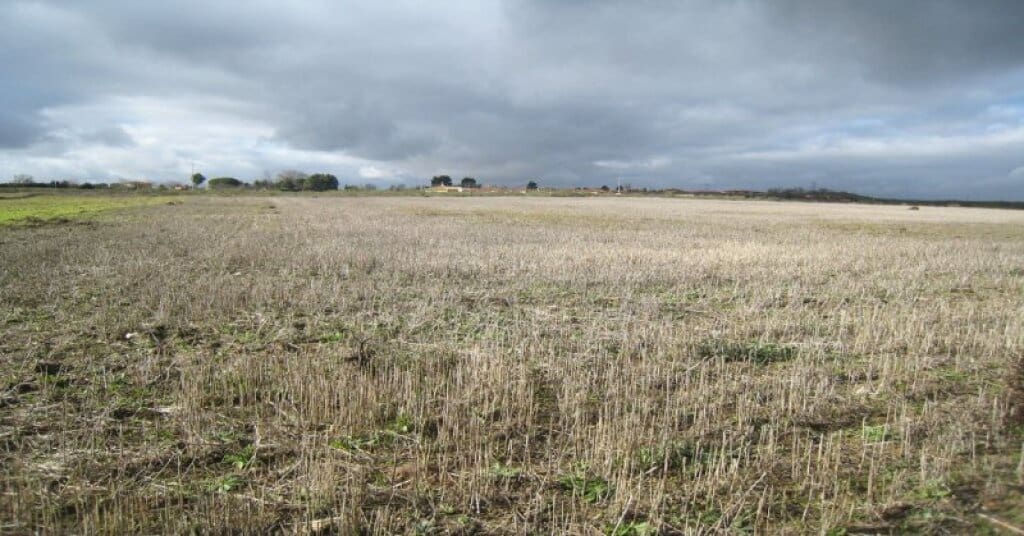 Byggegrund til salg i Villamiel de Toledo - € 22.000 (Ref: 9174366)