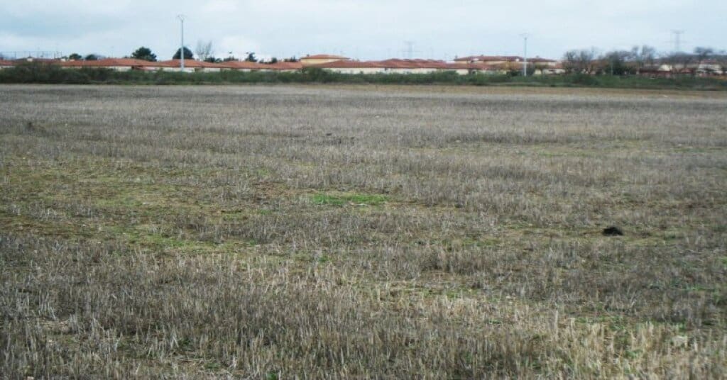 Byggegrund til salg i Villamiel de Toledo - € 22.000 (Ref: 9174366)