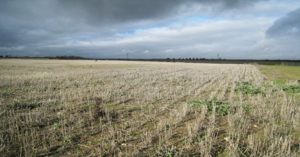 Byggegrund til salg i Villamiel de Toledo - € 22.000 (Ref: 9174366)