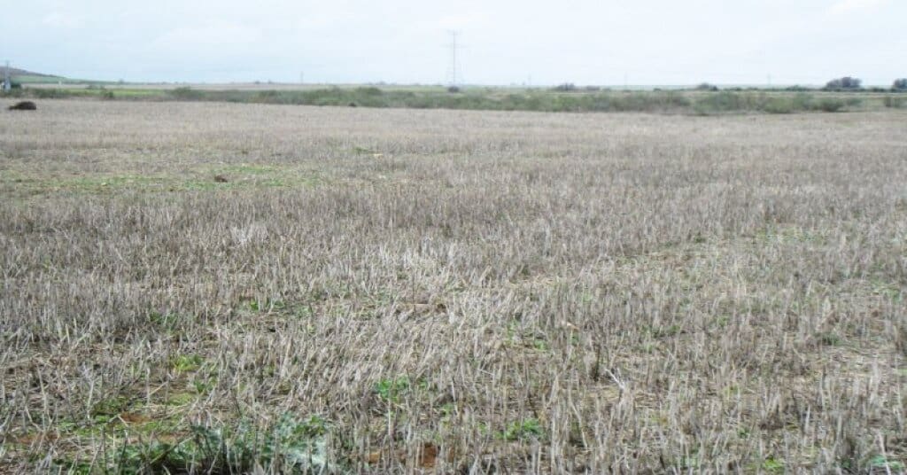 Byggegrund til salg i Villamiel de Toledo - € 22.000 (Ref: 9174366)