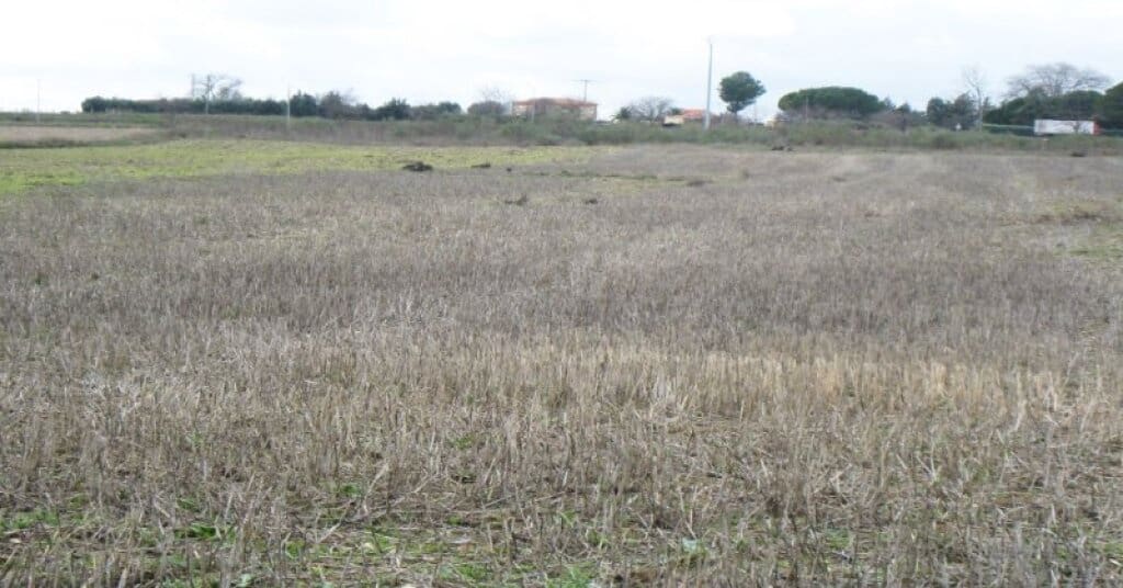 Byggegrund til salg i Villamiel de Toledo - € 22.000 (Ref: 9174366)