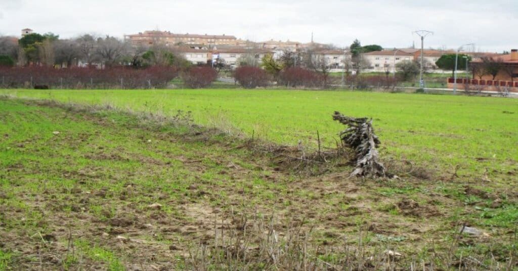 Byggegrund til salg i Villamiel de Toledo - € 22.000 (Ref: 9174366)