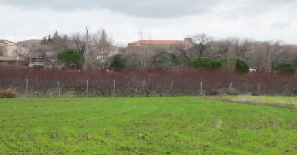 Byggegrund til salg i Villamiel de Toledo - € 22.000 (Ref: 9174366)