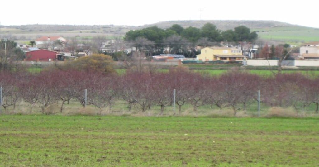 Byggegrund til salg i Villamiel de Toledo - € 22.000 (Ref: 9174366)