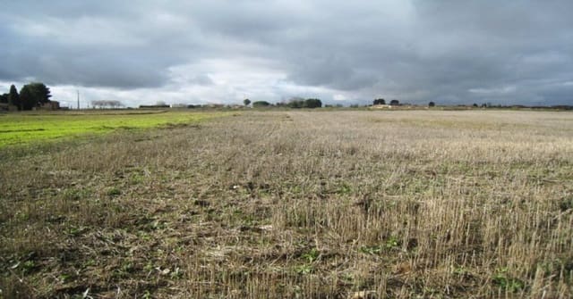 Building Plot for sale in Villamiel de Toledo - € 22,000 (Ref: 9174366)