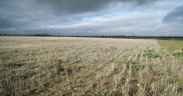 Building Plot for sale in Villamiel de Toledo - € 22,000 (Ref: 9174366)