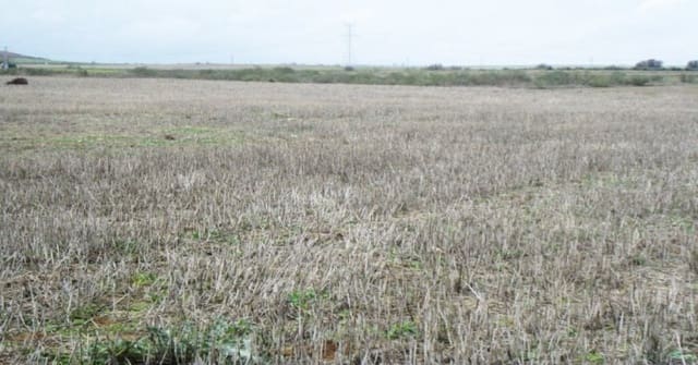 Building Plot for sale in Villamiel de Toledo - € 22,000 (Ref: 9174366)