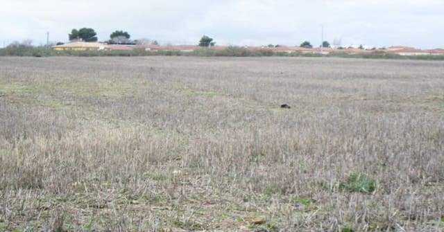 Building Plot for sale in Villamiel de Toledo - € 22,000 (Ref: 9174366)