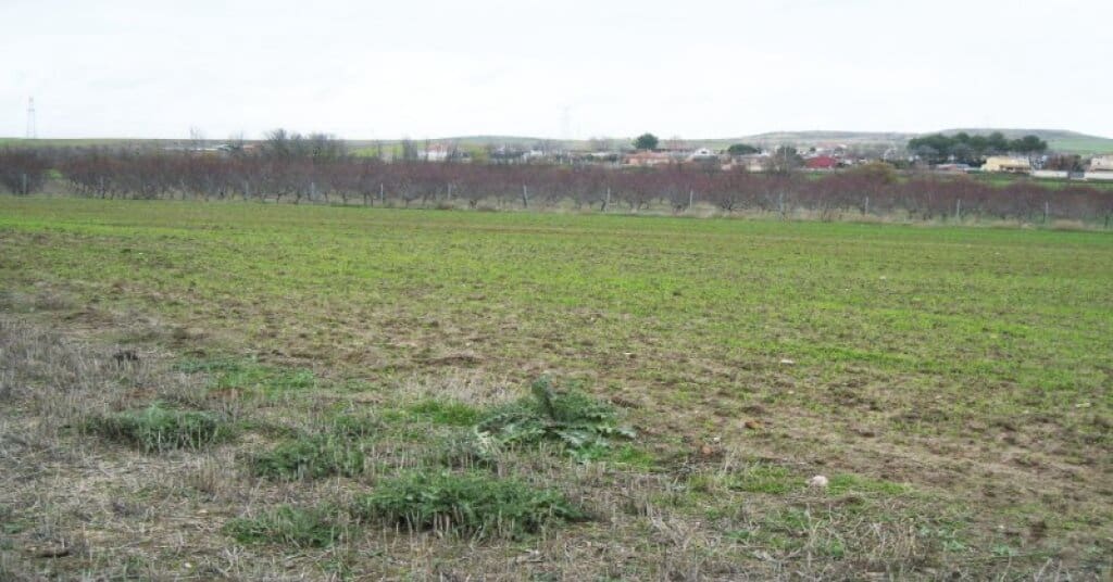 Byggegrund til salg i Villamiel de Toledo - € 22.000 (Ref: 9174366)