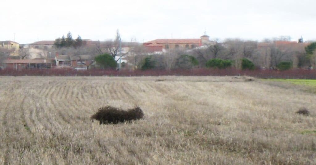 Byggegrund til salg i Villamiel de Toledo - € 22.000 (Ref: 9174366)