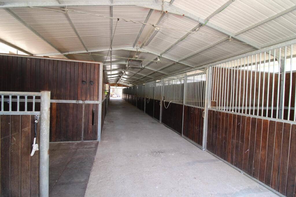 Terre non Aménagée à vendre à Almenara - 650 000 € (Ref: 9174378)