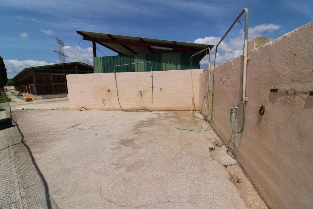 Terre non Aménagée à vendre à Almenara - 650 000 € (Ref: 9174378)