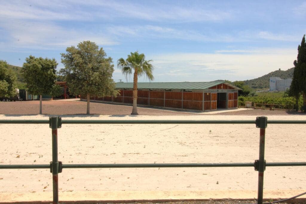 Terre non Aménagée à vendre à Almenara - 650 000 € (Ref: 9174378)