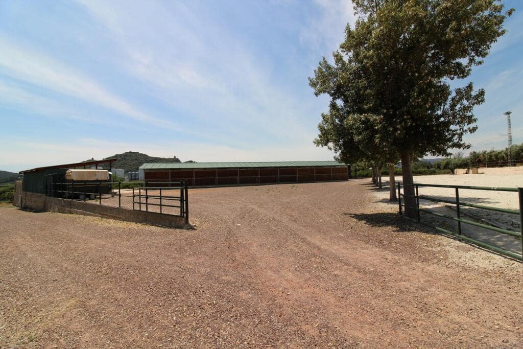 Terre non Aménagée à vendre à Almenara - 650 000 € (Ref: 9174378)