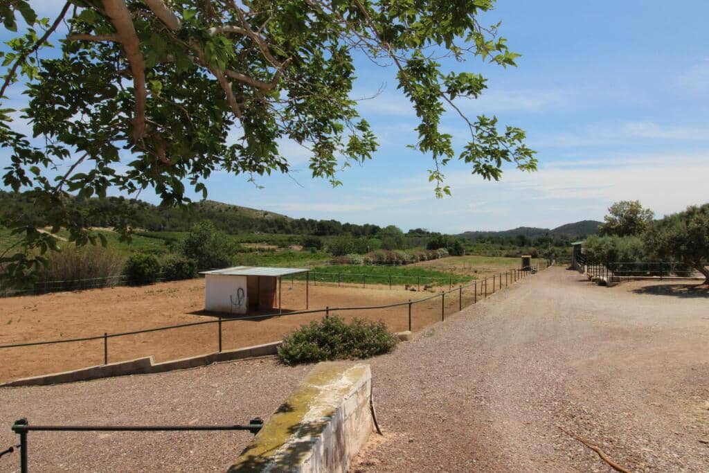 Terre non Aménagée à vendre à Almenara - 650 000 € (Ref: 9174378)