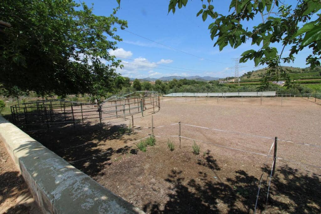 Terre non Aménagée à vendre à Almenara - 650 000 € (Ref: 9174378)