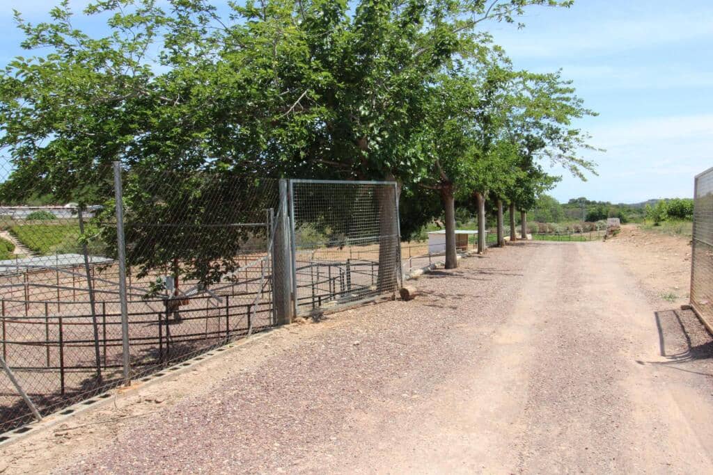 Terre non Aménagée à vendre à Almenara - 650 000 € (Ref: 9174378)