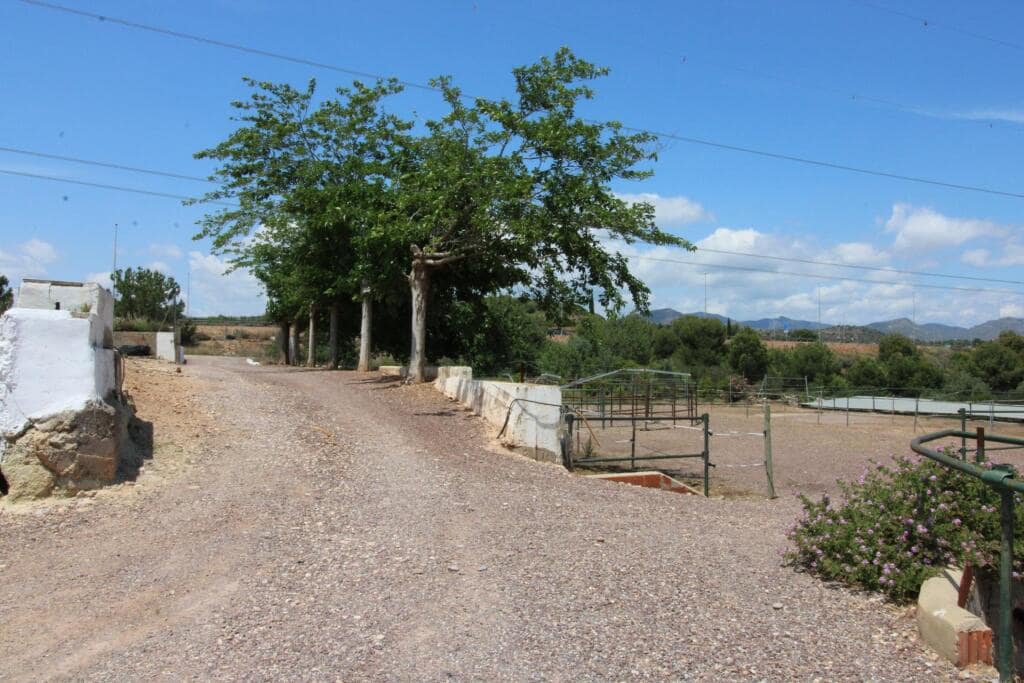 Terre non Aménagée à vendre à Almenara - 650 000 € (Ref: 9174378)