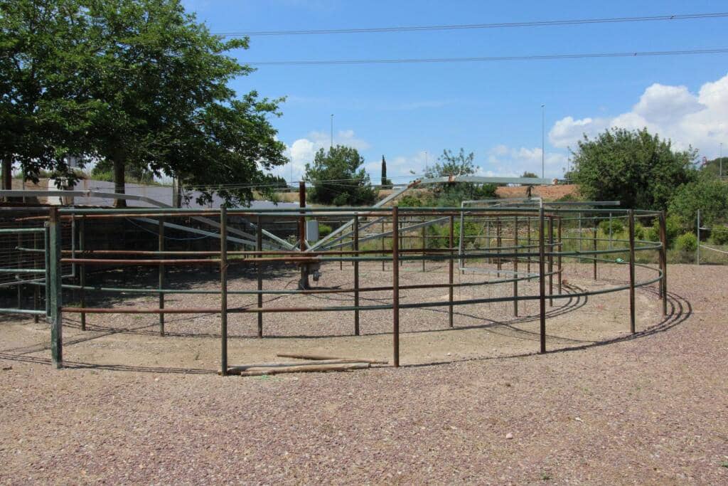 Terre non Aménagée à vendre à Almenara - 650 000 € (Ref: 9174378)