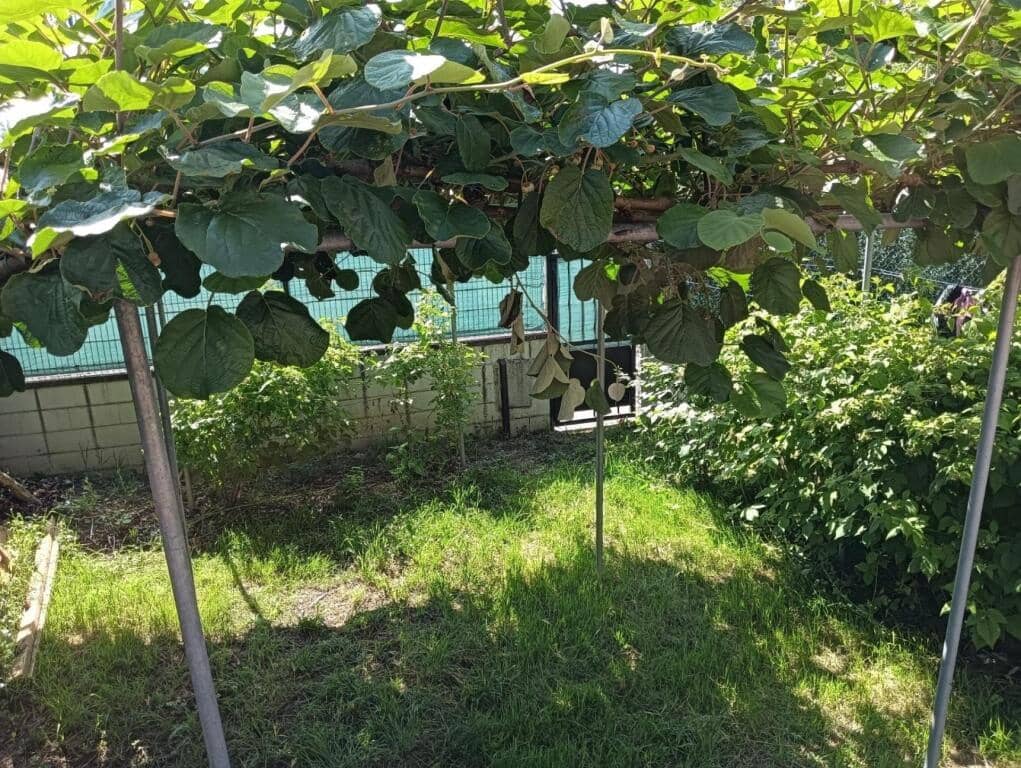 4 soveværelse Rækkehus til salg i Monforte de Lemos med garage - € 280.000 (Ref: 9174473)