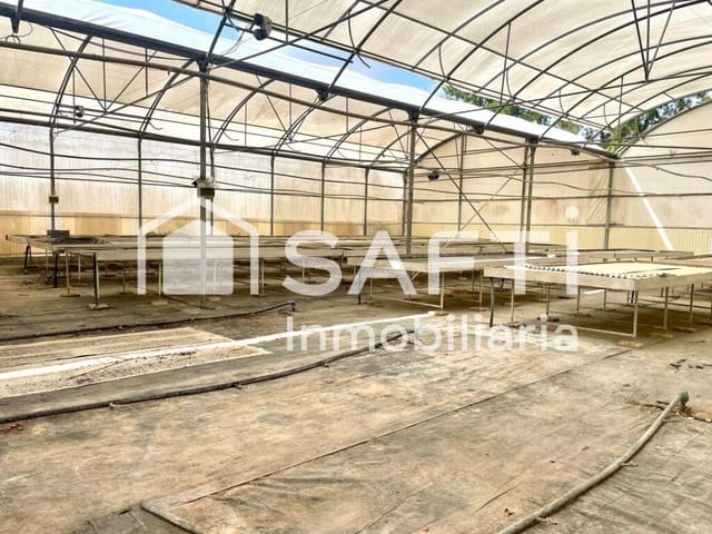 Undeveloped Land for sale in Alfarp - € 228,000 (Ref: 9174519)