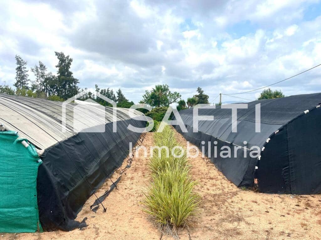 Grunde uden byggetilladelser til salg i Alfarp - € 228.000 (Ref: 9174519)