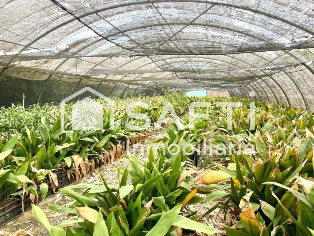 Grunde uden byggetilladelser til salg i Alfarp - € 228.000 (Ref: 9174519)