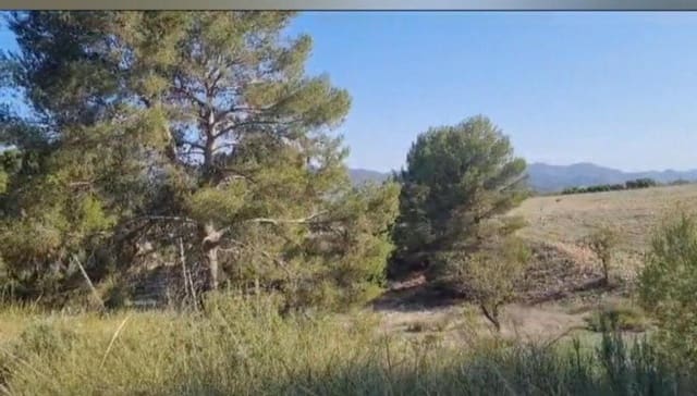 Ubebygd land til salgs i Lorca - € 620 000 (Ref: 9174523)
