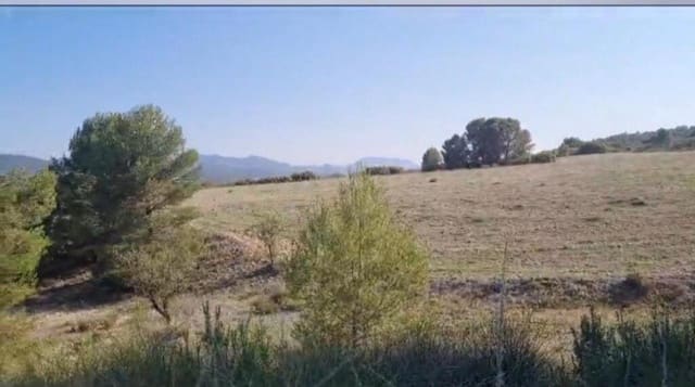 Ubebygd land til salgs i Lorca - € 620 000 (Ref: 9174523)