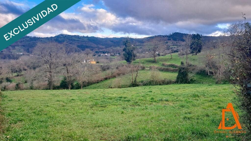 Byggetomt til salgs i Villaviciosa - € 43 700 (Ref: 9174525)