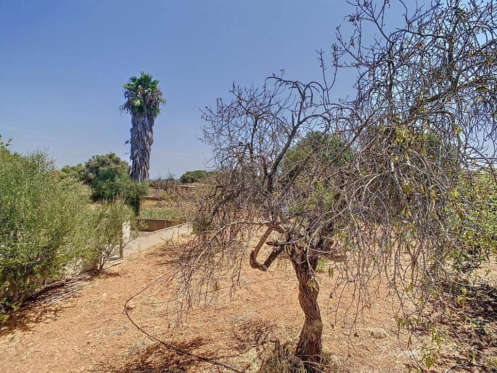 5 soveværelse Villa til salg i Santanyi med swimmingpool garage - € 1.495.000 (Ref: 9181019)