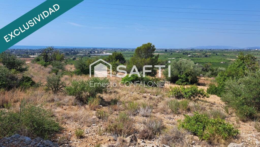 Terreno Não Urbanizado para venda em Alcanar - 99 000 € (Ref: 9181029)