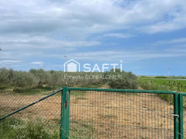 Grunde uden byggetilladelser til salg i Amposta - € 135.000 (Ref: 9181030)