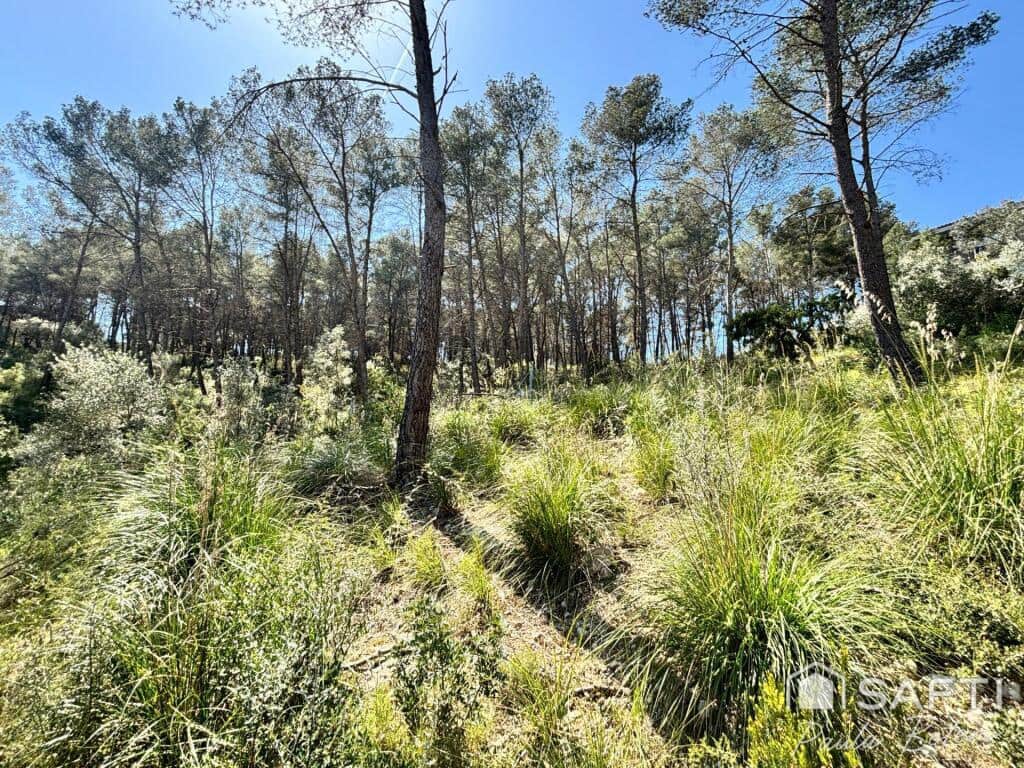 Tomt till salu i Olivella - 46 000 € (Ref: 9181036)