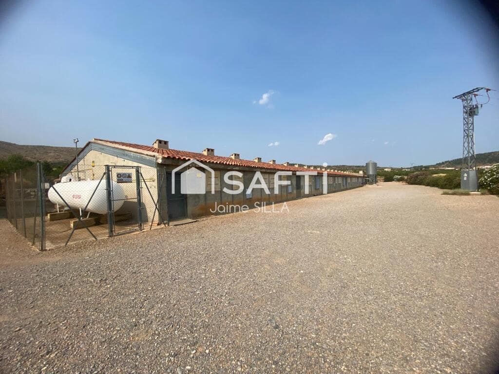 Teren niezagospodarowany na sprzedaż w Alcublas - 120 000 € (Ref: 9181055)