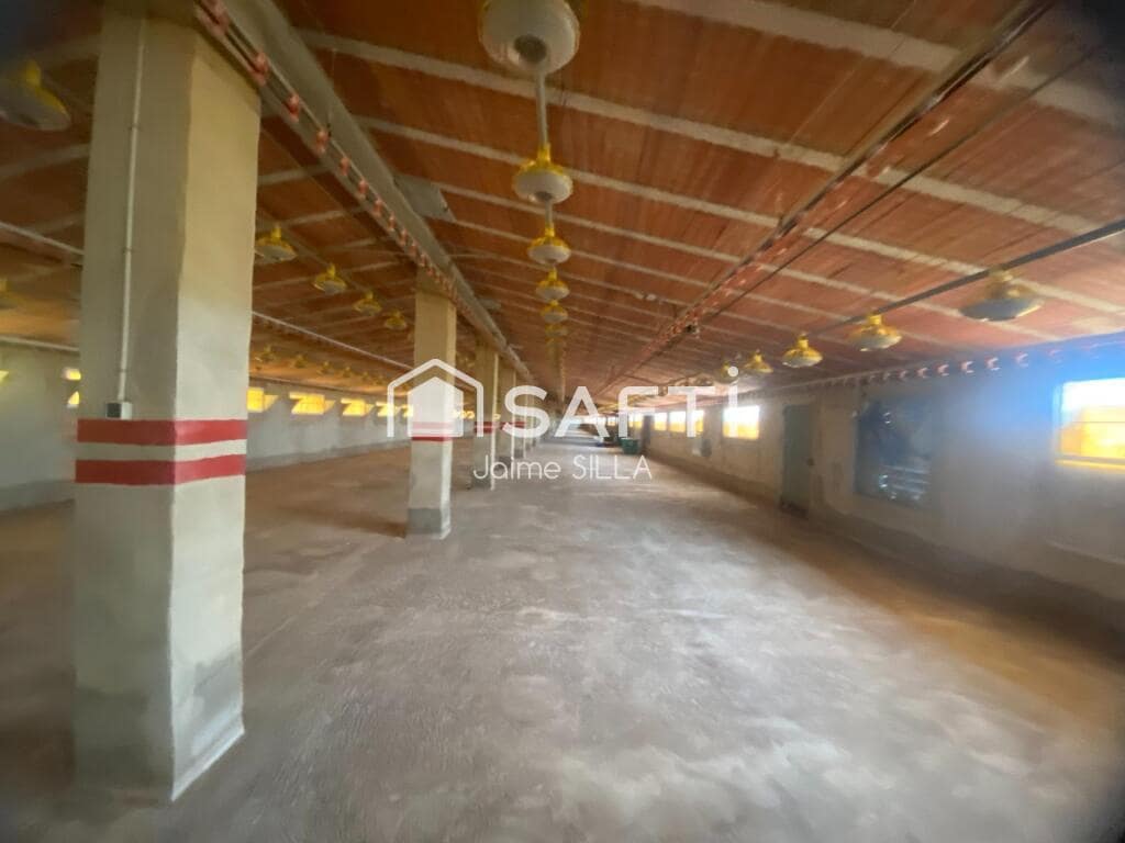 Teren niezagospodarowany na sprzedaż w Alcublas - 120 000 € (Ref: 9181055)