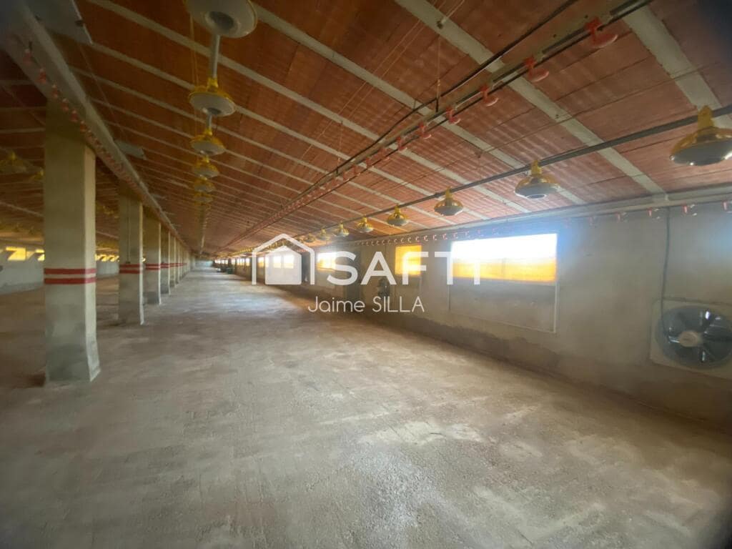 Teren niezagospodarowany na sprzedaż w Alcublas - 120 000 € (Ref: 9181055)