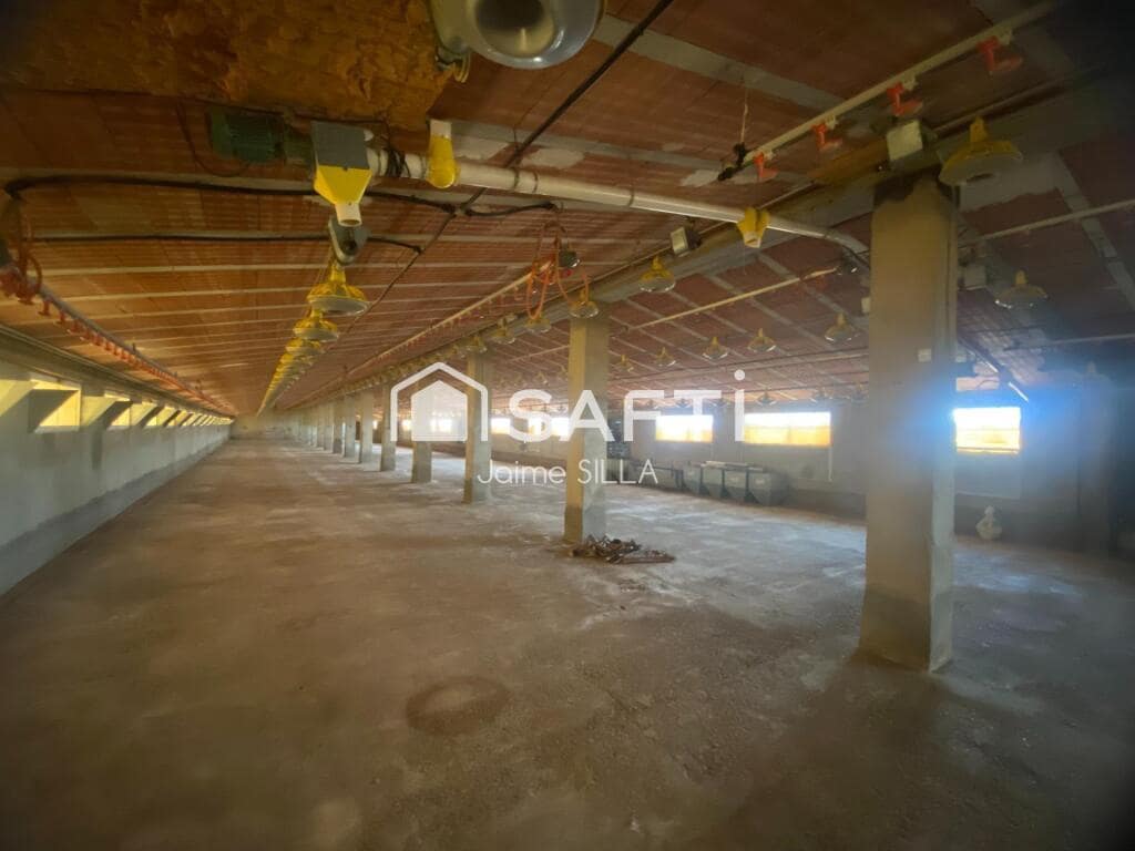 Teren niezagospodarowany na sprzedaż w Alcublas - 120 000 € (Ref: 9181055)