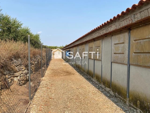 Mark till salu i Alcublas - 120 000 € (Ref: 9181055)