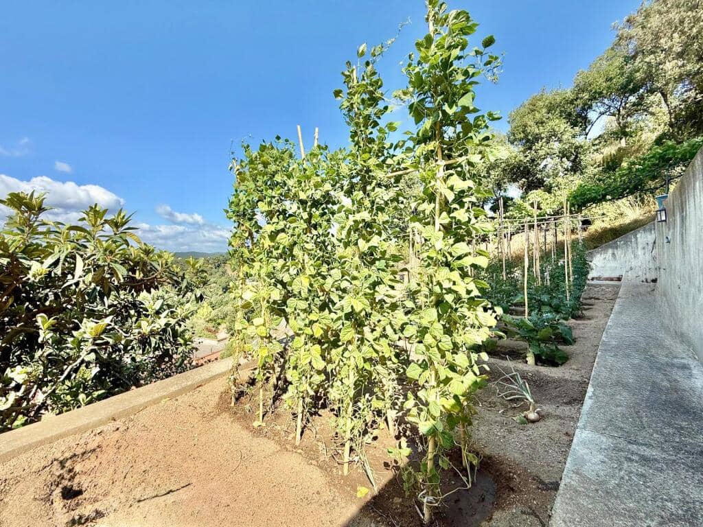 5 chambre Villa/Maison à vendre à Riells i Viabrea avec piscine garage - 495 650 € (Ref: 9185437)