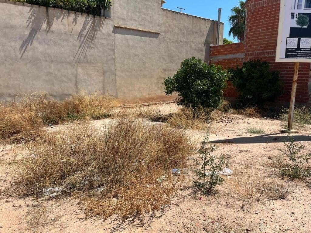 Byggegrund til salg i Albuixec - € 135.000 (Ref: 9188477)