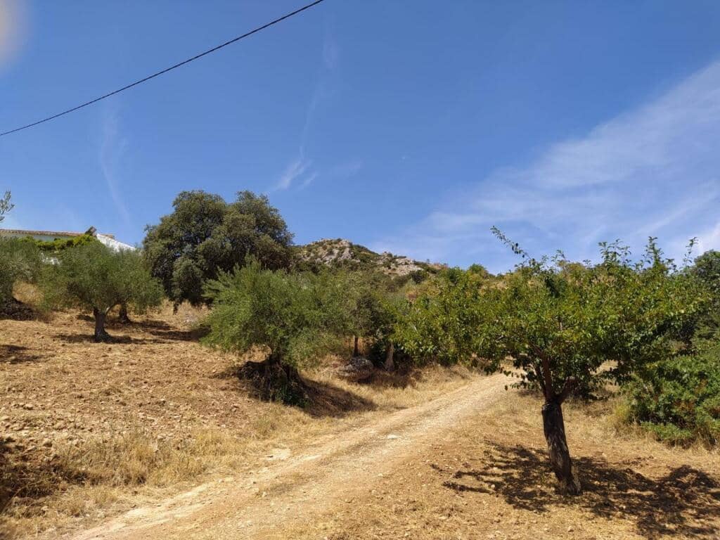 Ubebygd land til salgs i Ardales - € 1 500 000 (Ref: 9188481)