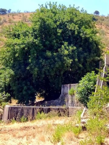 Mark till salu i Ardales - 1 500 000 € (Ref: 9188481)