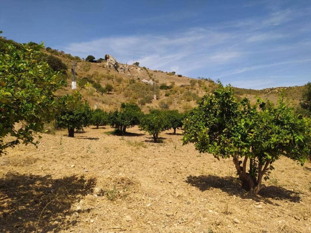 Ubebygd land til salgs i Ardales - € 1 500 000 (Ref: 9188481)