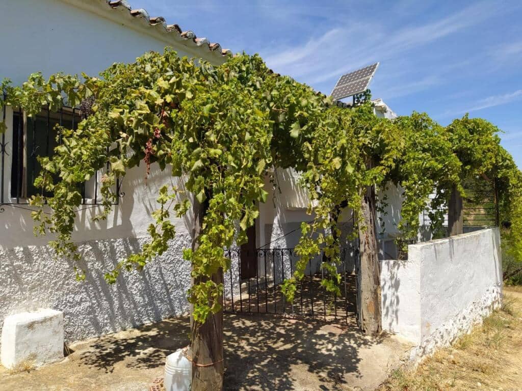 Ubebygd land til salgs i Ardales - € 1 500 000 (Ref: 9188481)