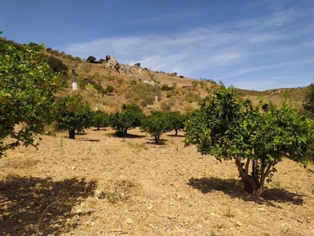 Mark till salu i Ardales - 1 500 000 € (Ref: 9188481)